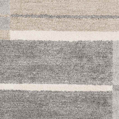 Loos Modern Medium Gray Area Rug