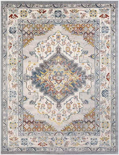 Var Traditional Gray Area Rug