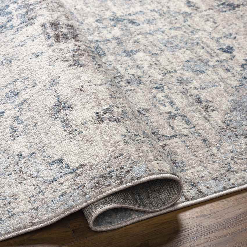 Isere Traditional Ivory Area Rug