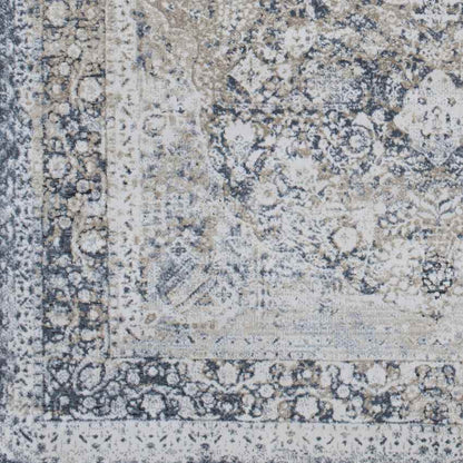 Finistere Traditional Medium Gray Area Rug
