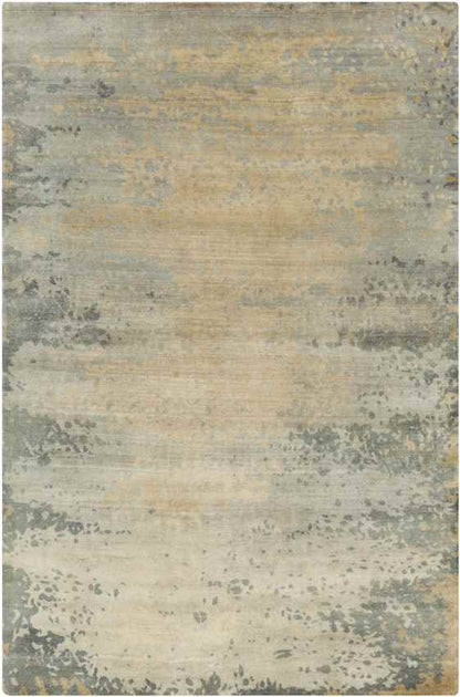 Aube Modern Light Gray Area Rug