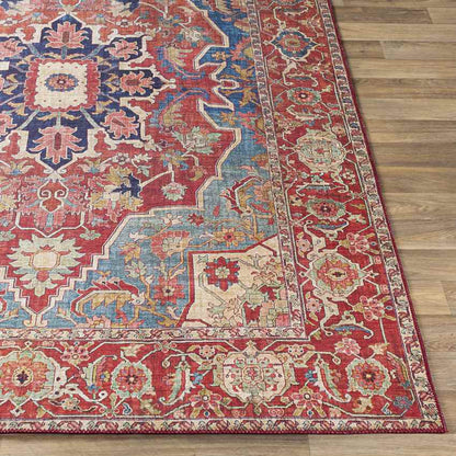 Nievre Traditional Burnt Orange Area Rug