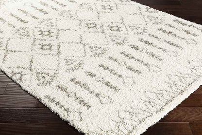 Syracuse Global Taupe Area Rug