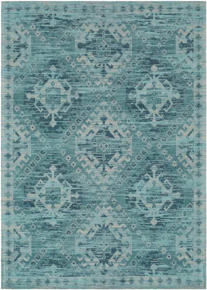 Pistoia Traditional Aqua Area Rug