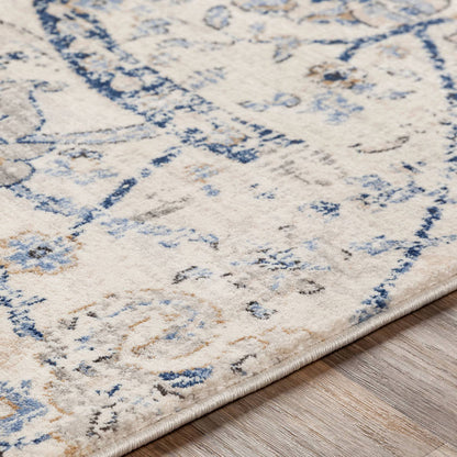 Avellino Traditional Denim Area Rug