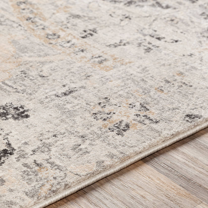 Avellino Traditional Charcoal Area Rug