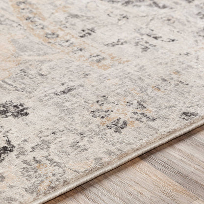 Avellino Traditional Charcoal Area Rug