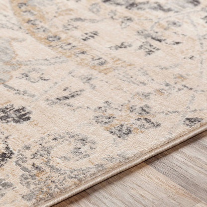 Avellino Traditional Beige Area Rug