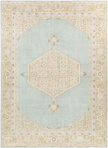 Chieti Traditional Sage Area Rug