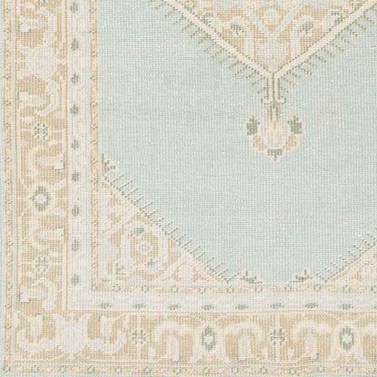 Chieti Traditional Sage Area Rug