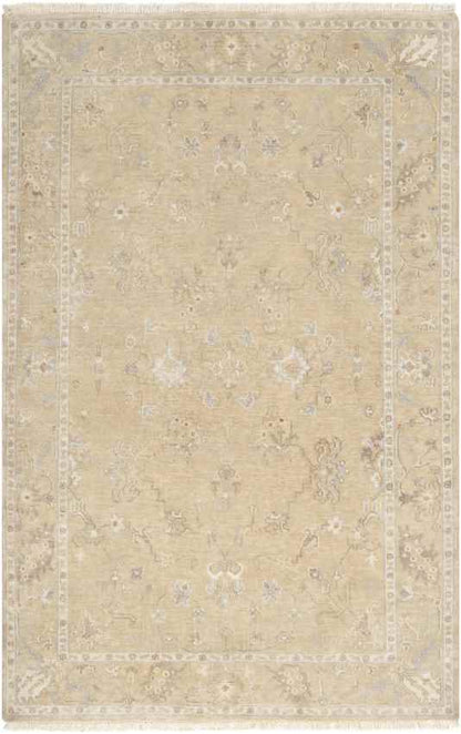Campania Traditional Beige Area Rug