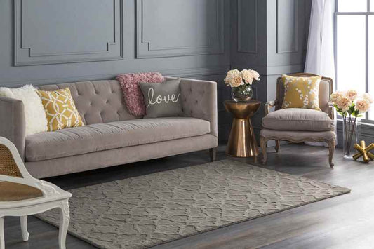 Aramis Modern Gray Area Rug