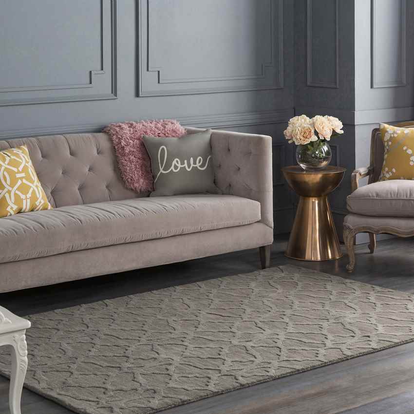 Aramis Modern Gray Area Rug