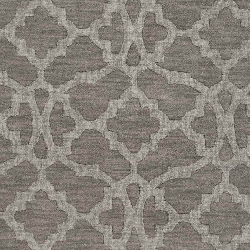Aramis Modern Gray Area Rug