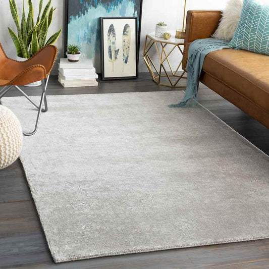 Cade Modern Medium Gray Area Rug