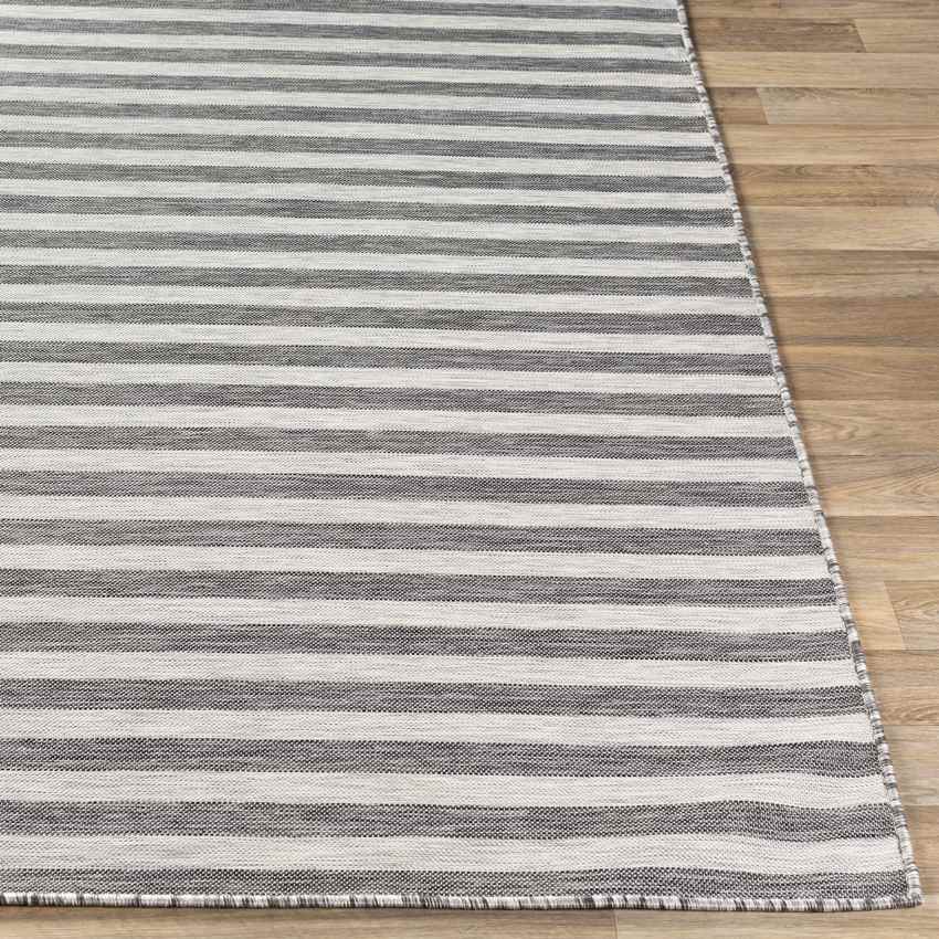 Alize Cottage Charcoal/Ivory Area Rug