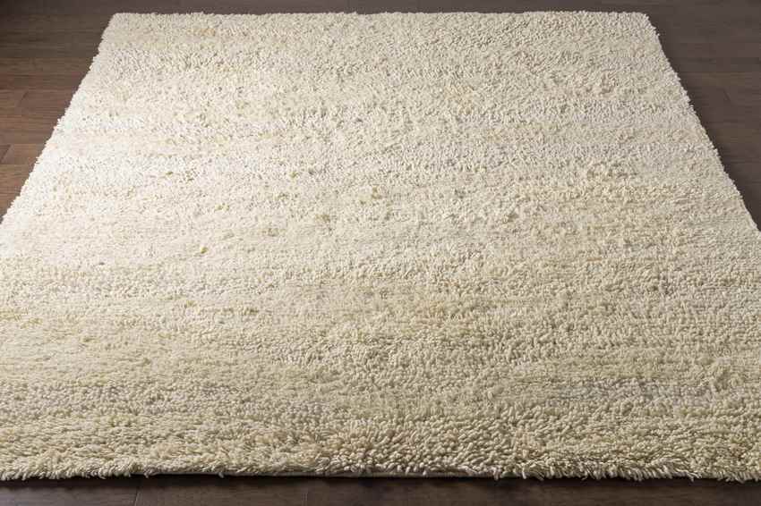 Bernadette Modern Cream Area Rug