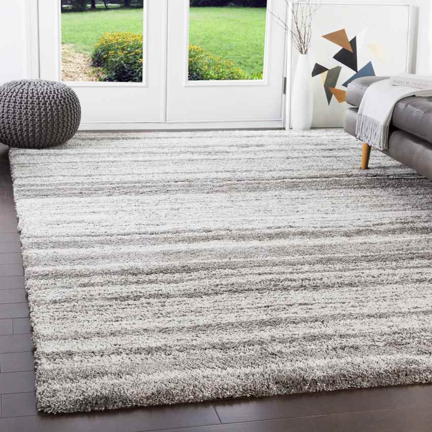 Gaston Modern Taupe Area Rug