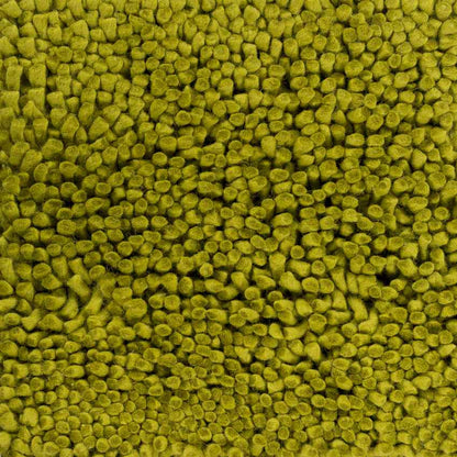 Geron Modern Lime Area Rug