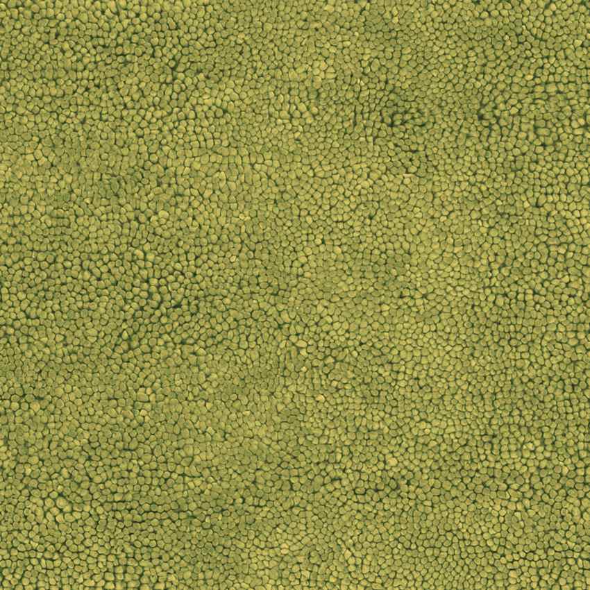 Geron Modern Lime Area Rug
