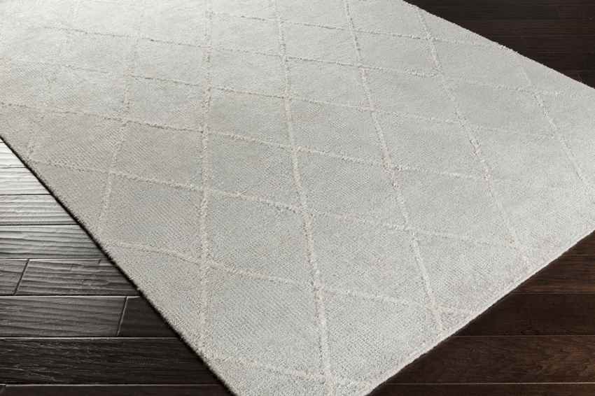 Mortimer Modern Light Gray Area Rug