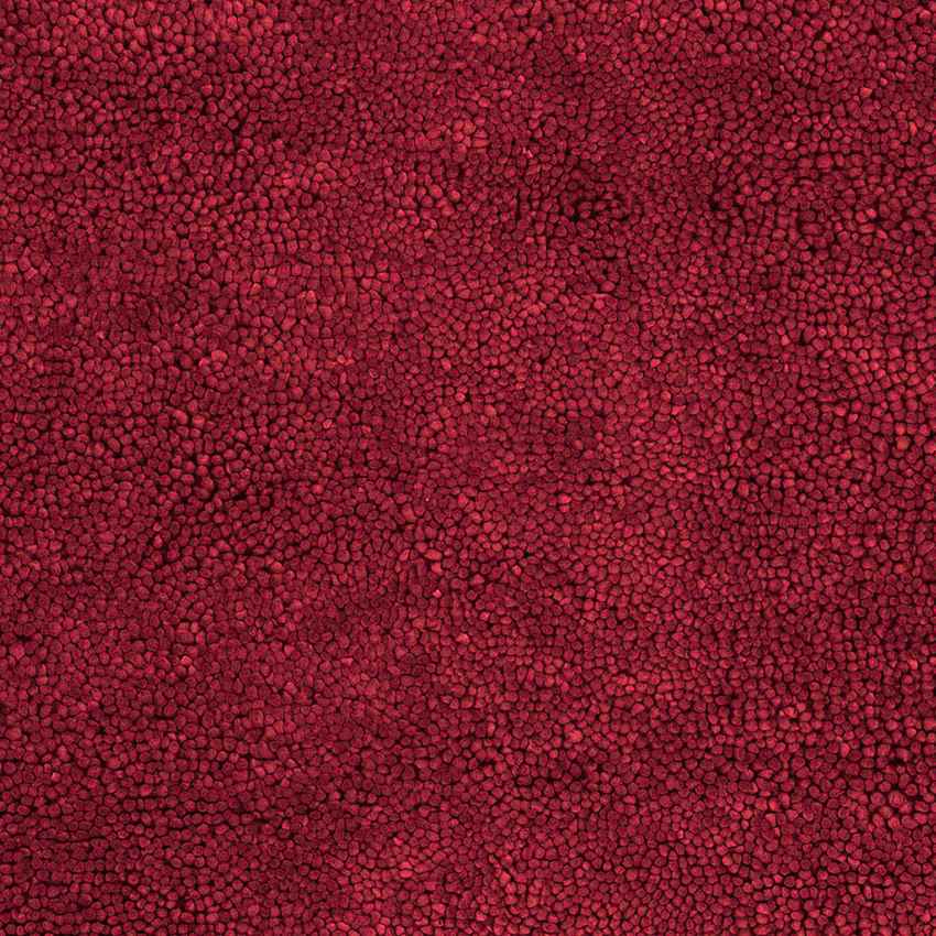 Geron Modern Red Area Rug
