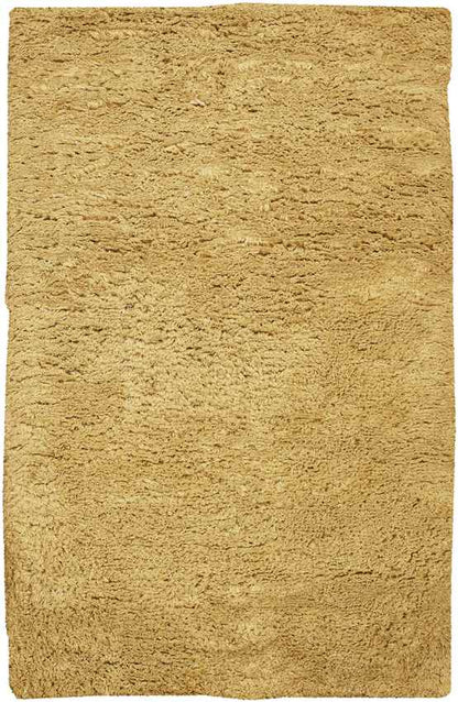 Apopka Modern Gold Area Rug