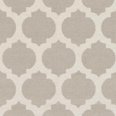 Aubrey Modern Light Gray/Gray Area Rug