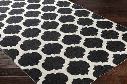 Auburndale Modern Black/Light Gray Area Rug