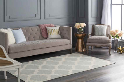 Avera Modern Gray Area Rug