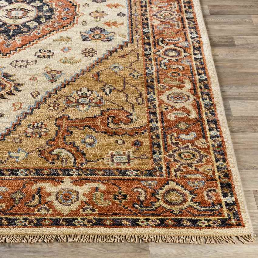 Lauren Traditional Burnt Orange Area Rug