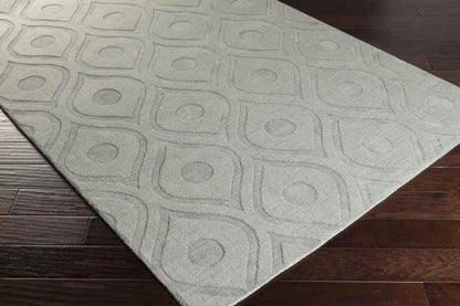 Bantam Modern Sage Area Rug