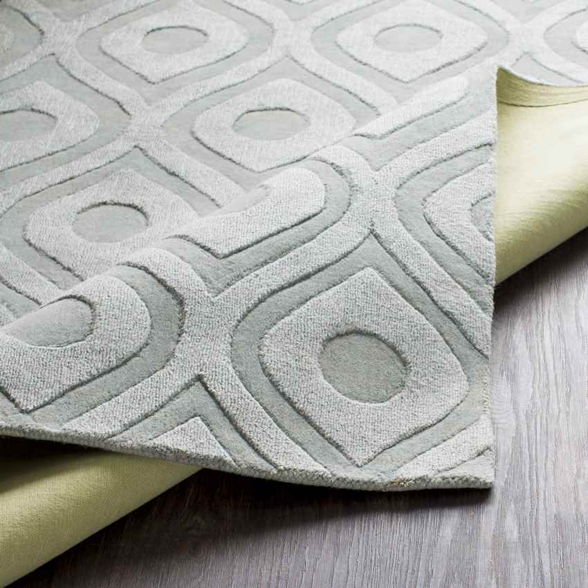 Bantam Modern Sage Area Rug