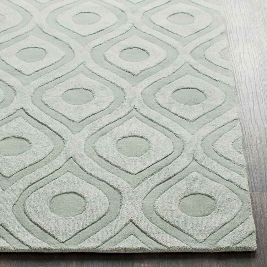 Bantam Modern Sage Area Rug