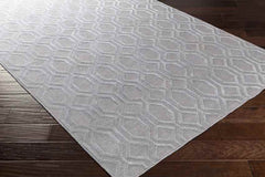 Blythe Modern Silver Gray Area Rug