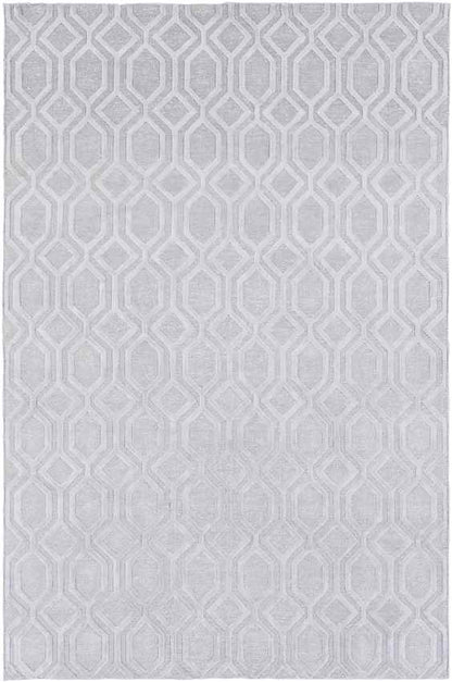 Blythe Modern Silver Gray Area Rug