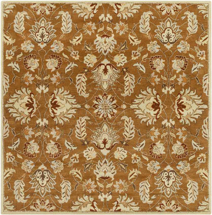 Hanna Traditional Brown Area Rug