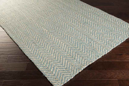 Orane Cottage Aqua Area Rug