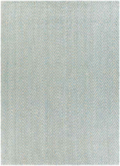 Orane Cottage Aqua Area Rug