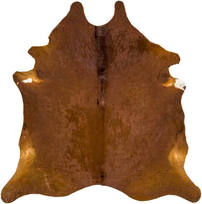 Page Rustic Camel Area Rug