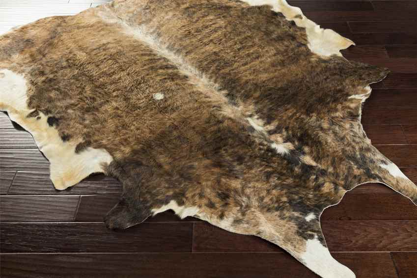 Page Rustic Camel Area Rug