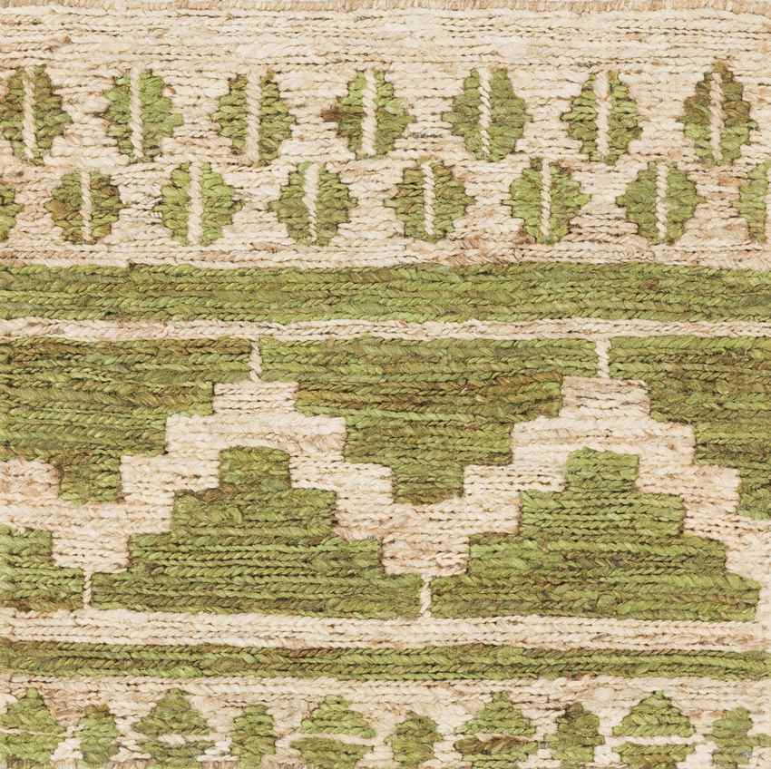 Caulksville Global Green Area Rug