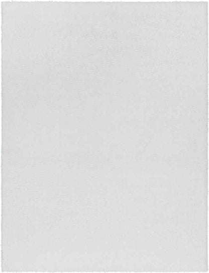 Pierre Modern White Area Rug