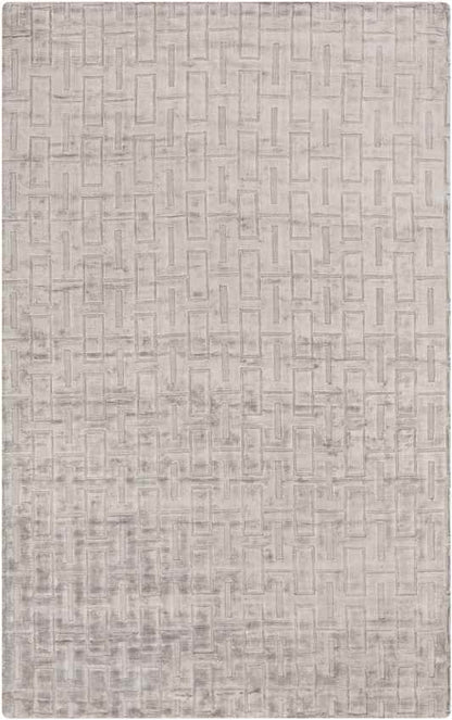 Southsea Modern Gray Area Rug