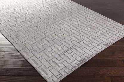 Southsea Modern Gray Area Rug