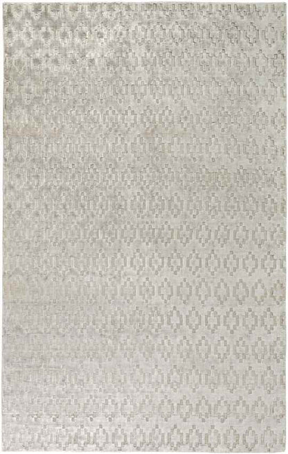 Cedarville Modern Taupe Area Rug