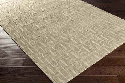 Southsea Modern Beige Area Rug