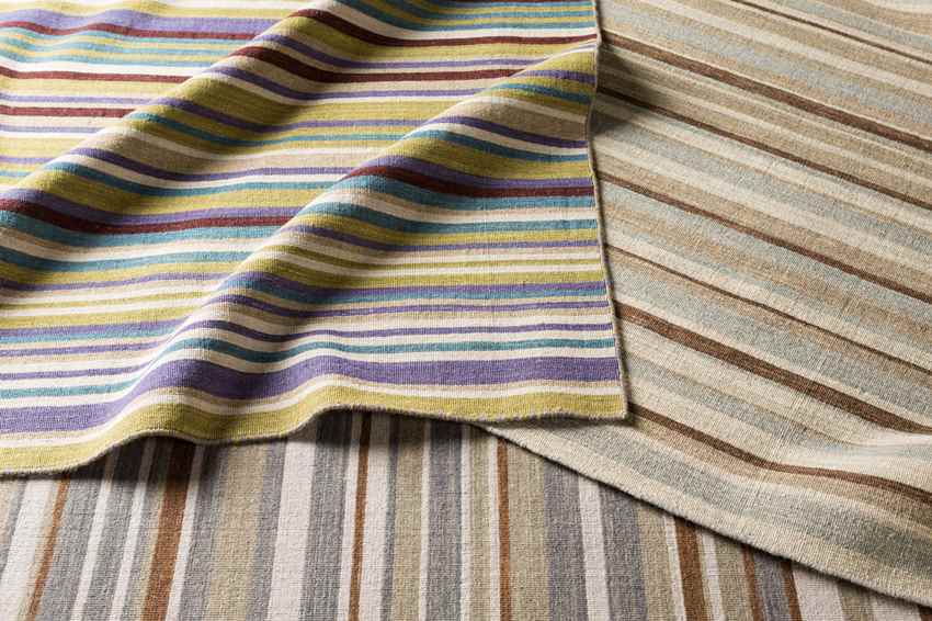 Chuathbaluk Modern Elephant Gray Area Rug