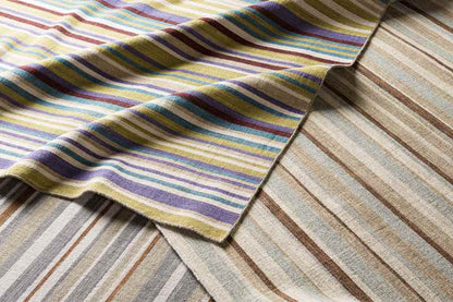 Chuathbaluk Modern Elephant Gray Area Rug