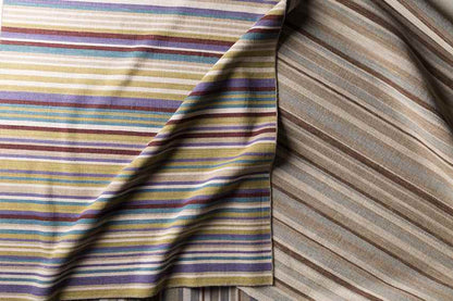 Chuathbaluk Modern Elephant Gray Area Rug